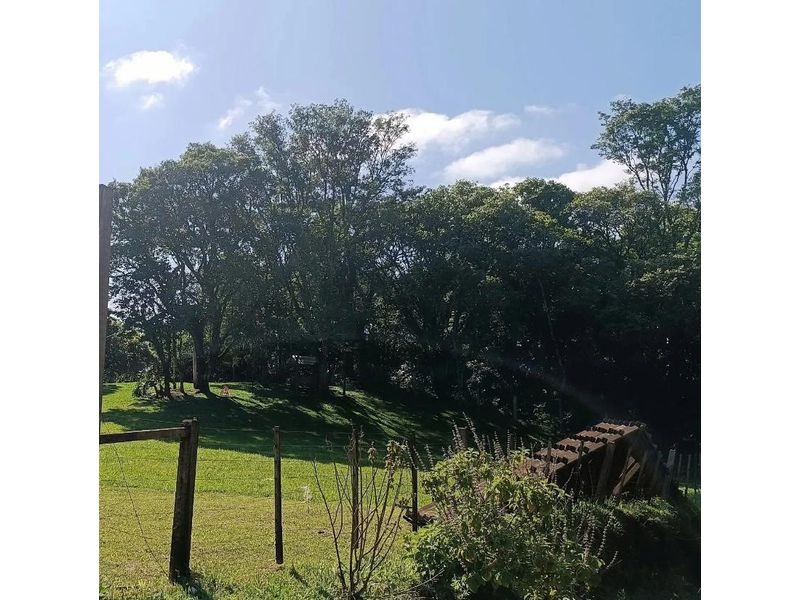 CHÁCARA - ÁGUA AMARELA 9