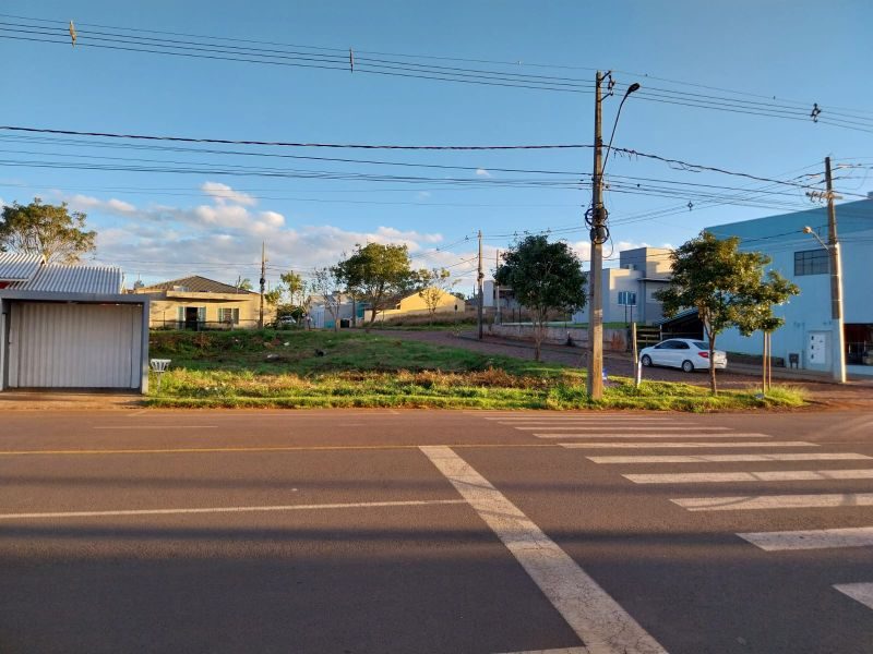TERRENO - BELVEDERE