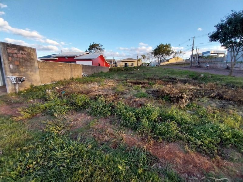 TERRENO - BELVEDERE 3
