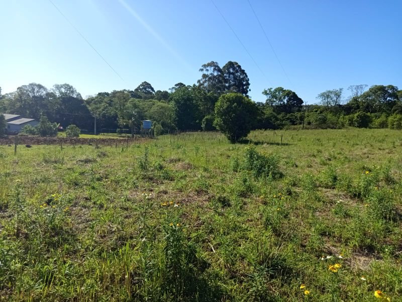 ÁREA DE TERRA - MARECHAL BORMANN