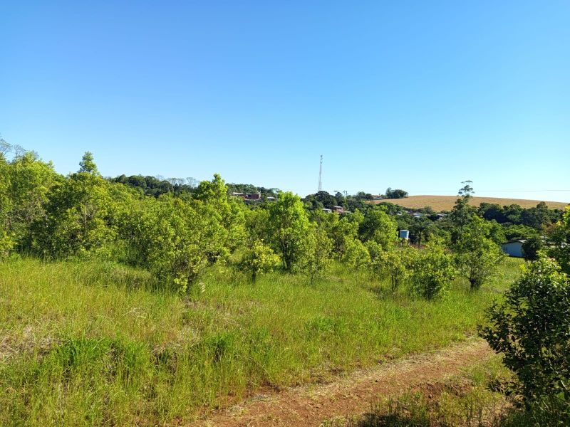 ÁREA DE TERRA - MARECHAL BORMANN 3
