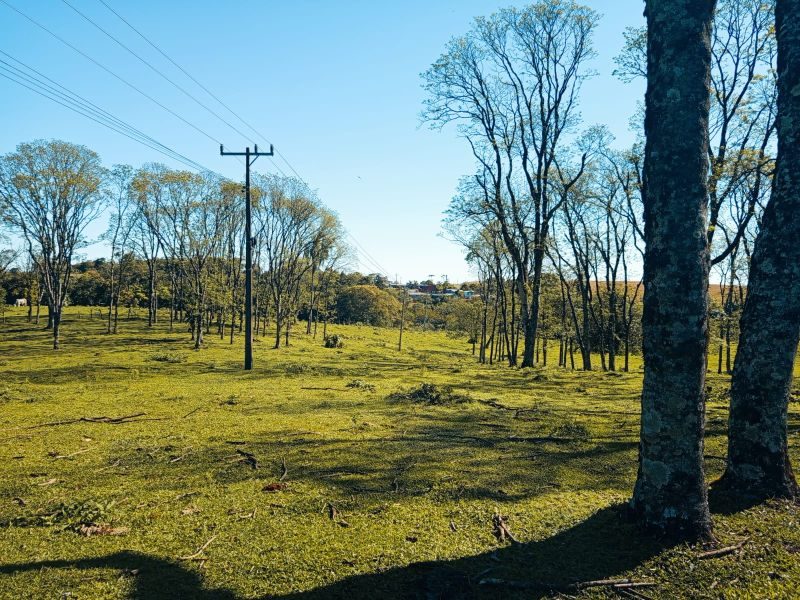 ÁREA DE TERRA - MARECHAL BORMANN 4