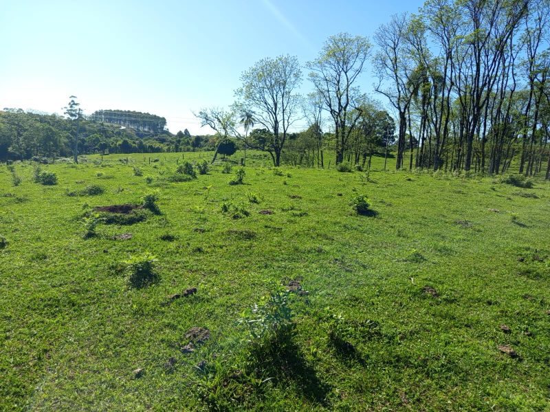 ÁREA DE TERRA - MARECHAL BORMANN 6