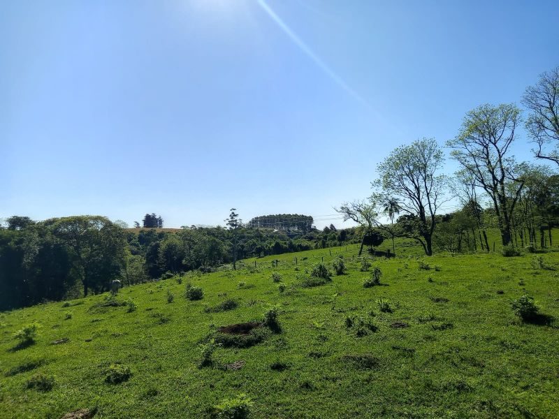 ÁREA DE TERRA - MARECHAL BORMANN 7
