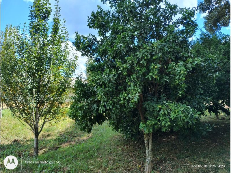 SITIO - LINHA COLÔNIA BACIA 27