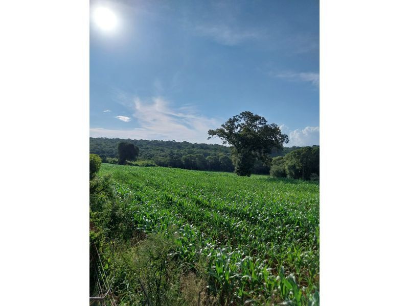 SITIO - FAZENDA ZANDAVALI 3