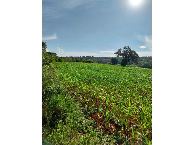 SITIO - FAZENDA ZANDAVALI 5