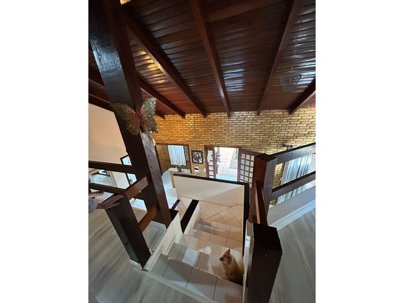 CASA - PALMITAL 25