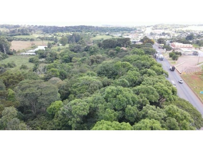 ÁREA COMERCIAL - MARECHAL BORMANN 4