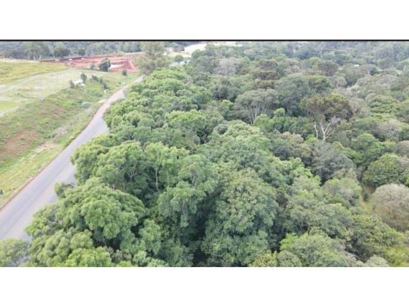 ÁREA COMERCIAL - MARECHAL BORMANN 8