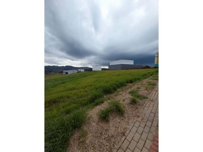 TERRENO - BELVEDERE