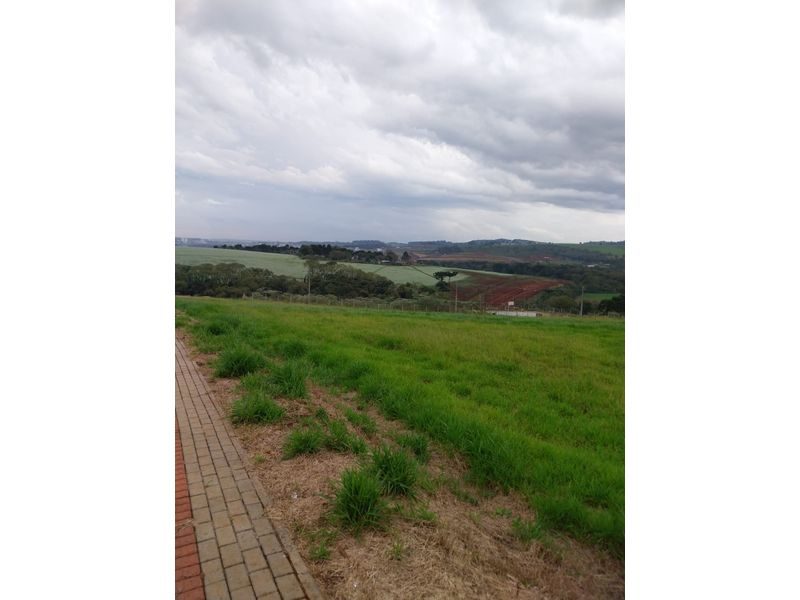TERRENO - BELVEDERE 5