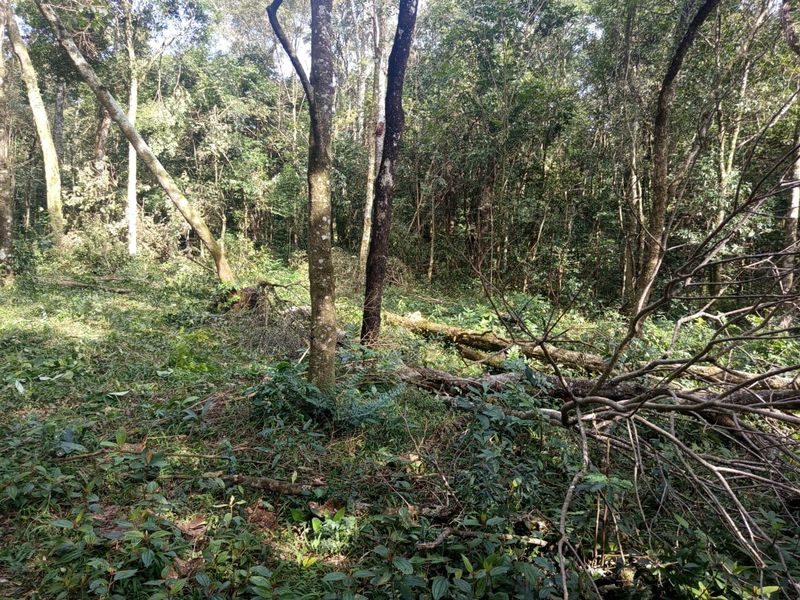 SITIO - FAZENDA ZANDAVALI 4