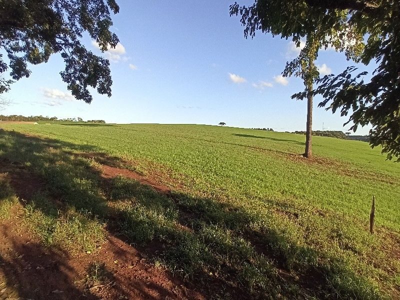 ÁREA COMERCIAL - SEDE FIGUEIRA 5