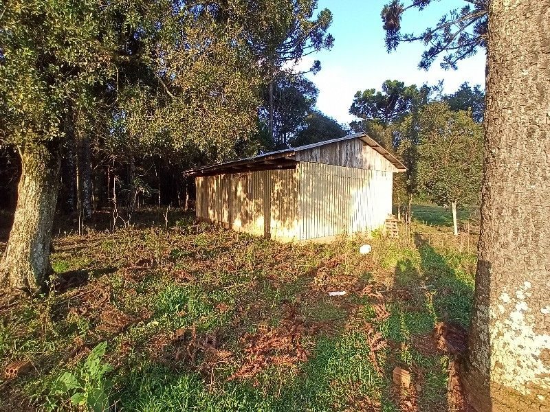 ÁREA COMERCIAL - SEDE FIGUEIRA 14