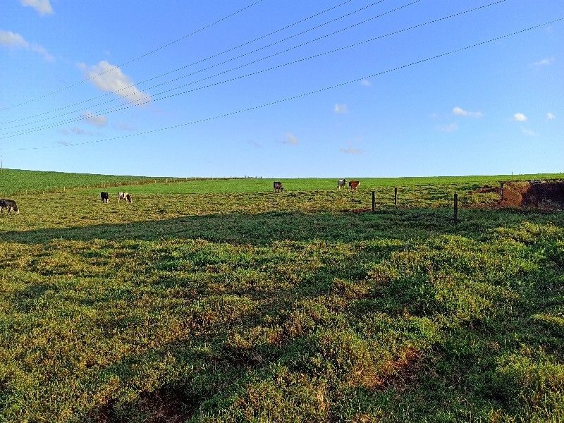 ÁREA COMERCIAL - SEDE FIGUEIRA 18