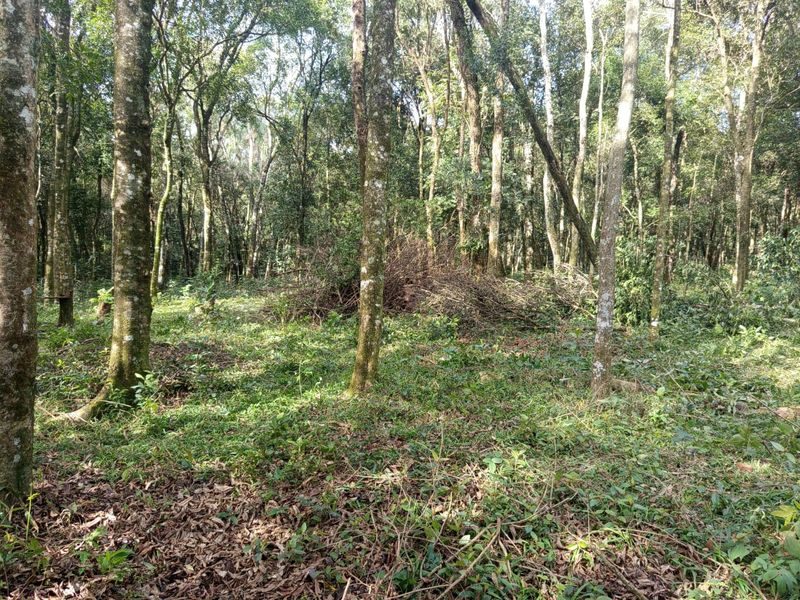 CHÁCARA - FAZENDA ZANDAVALI 5