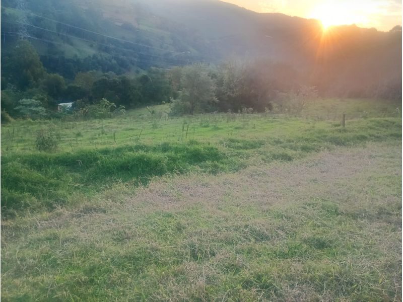 CHÁCARA - ARVOREDO 4