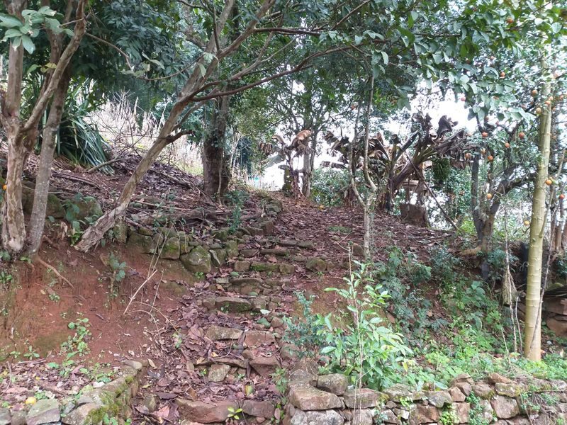 CASA - BELA VISTA 15