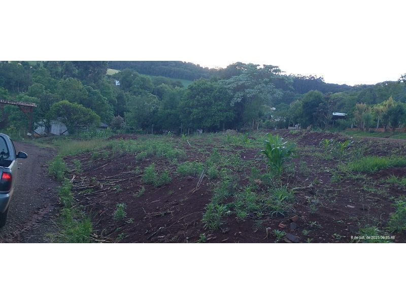 TERRENO - INTERIOR 4