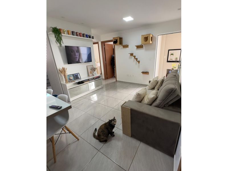 APARTAMENTO - PINHEIRINHO 3