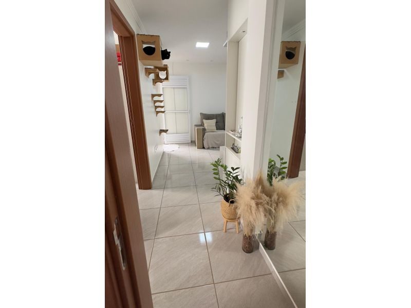 APARTAMENTO - PINHEIRINHO 4