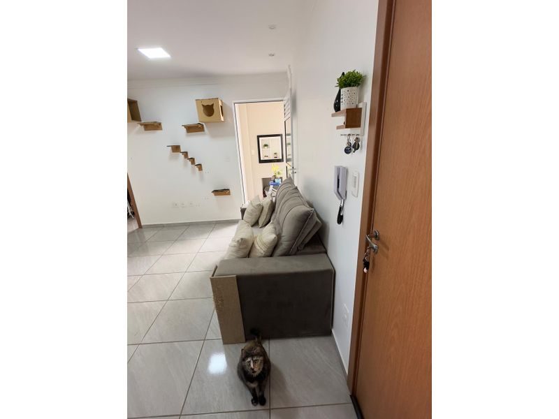 APARTAMENTO - PINHEIRINHO 6