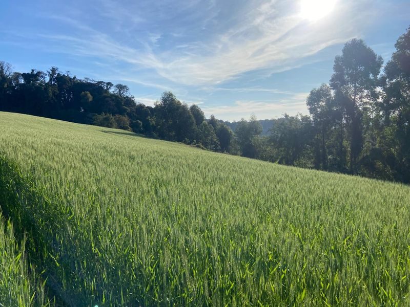 ÁREA DE TERRA - INTERIOR