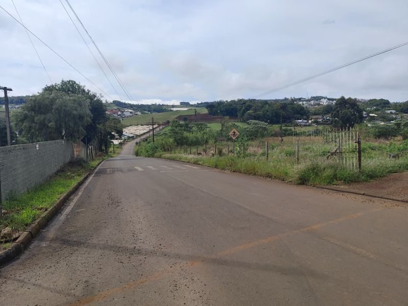 ÁREA DE TERRA - VILA REAL 4