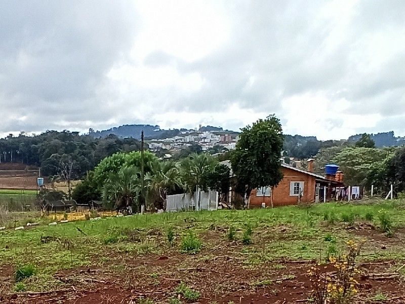 ÁREA DE TERRA - VILA REAL 5