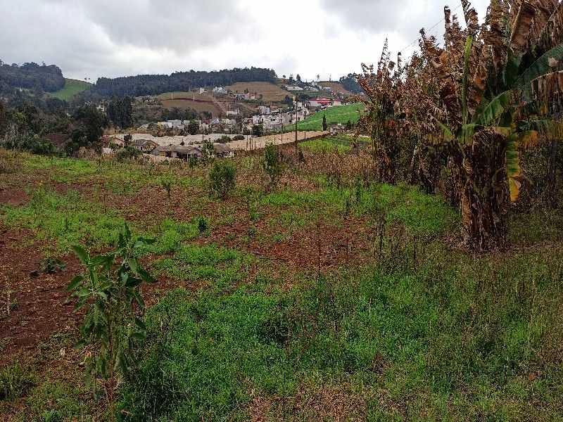 ÁREA DE TERRA - VILA REAL 8