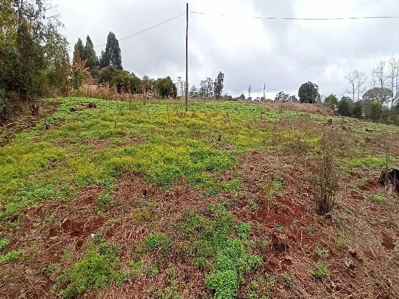 ÁREA DE TERRA - VILA REAL 10
