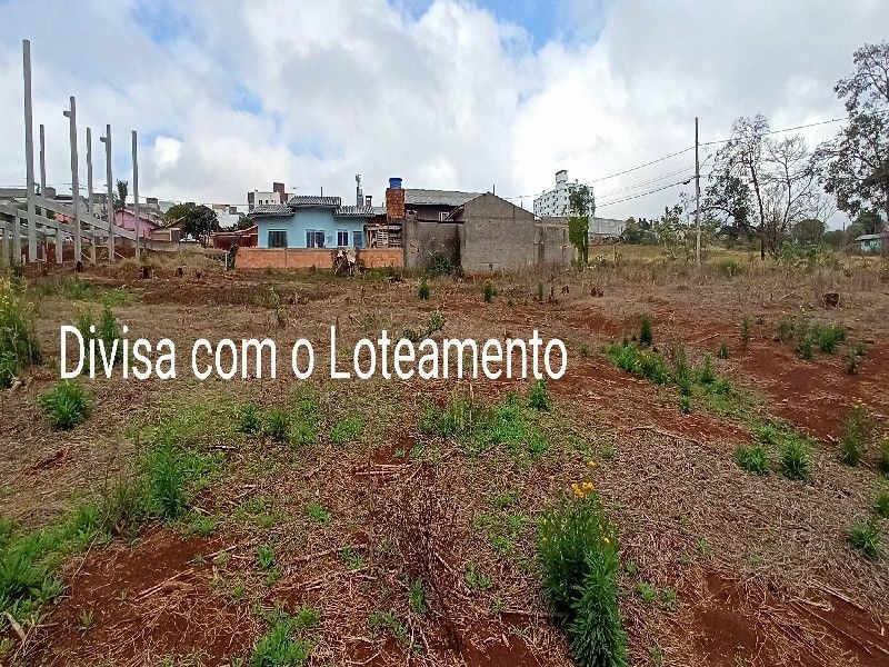 ÁREA DE TERRA - VILA REAL 14
