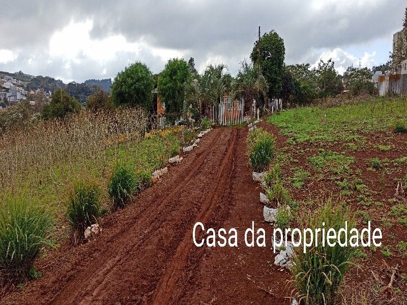ÁREA DE TERRA - VILA REAL 17