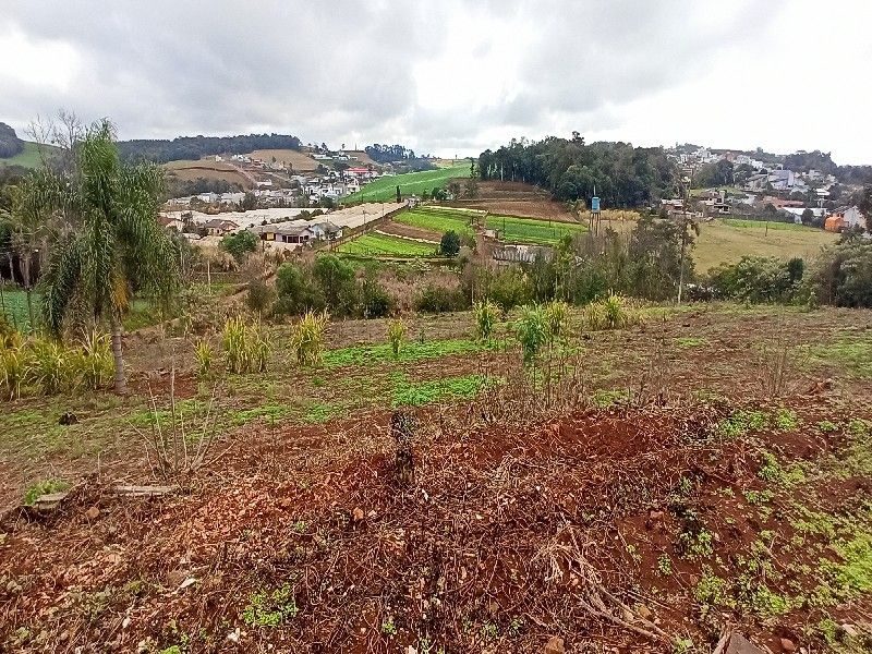 ÁREA DE TERRA - VILA REAL 18