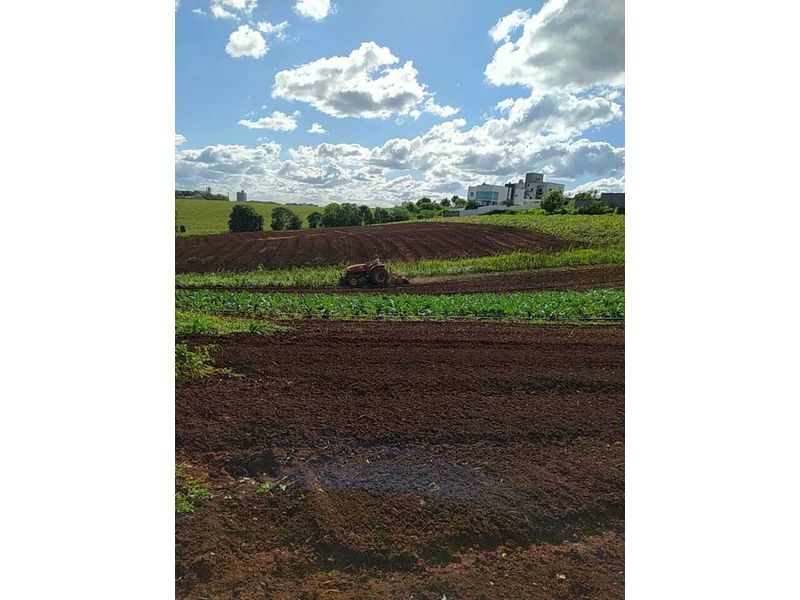 ÁREA DE TERRA - DESBRAVADOR 4