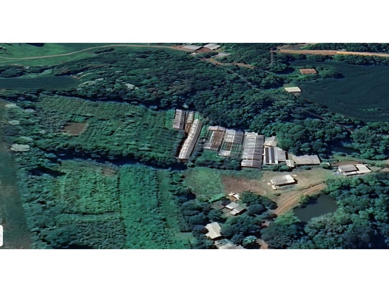 SITIO - LINHA SIMONETO