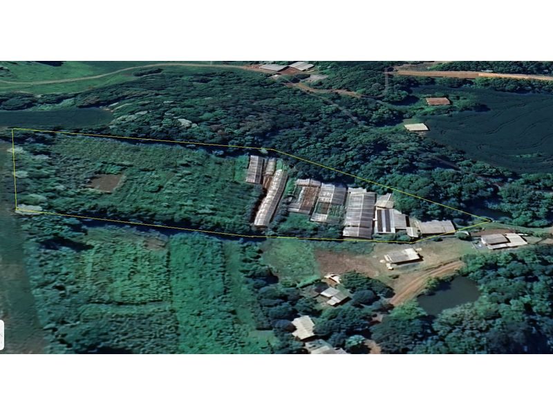 SITIO - LINHA SIMONETO 3