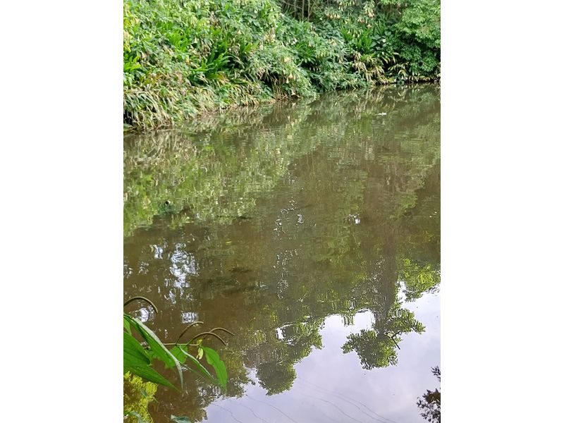 SITIO - LINHA SIMONETO 5