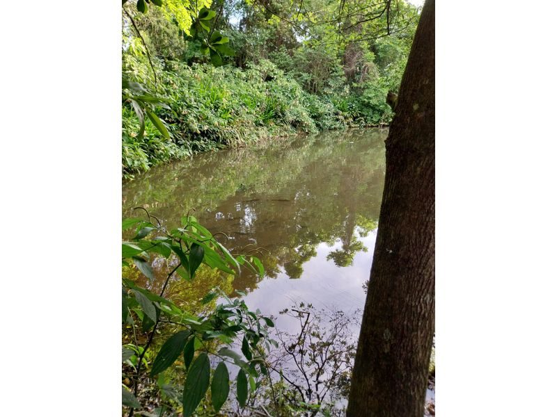 SITIO - LINHA SIMONETO 8