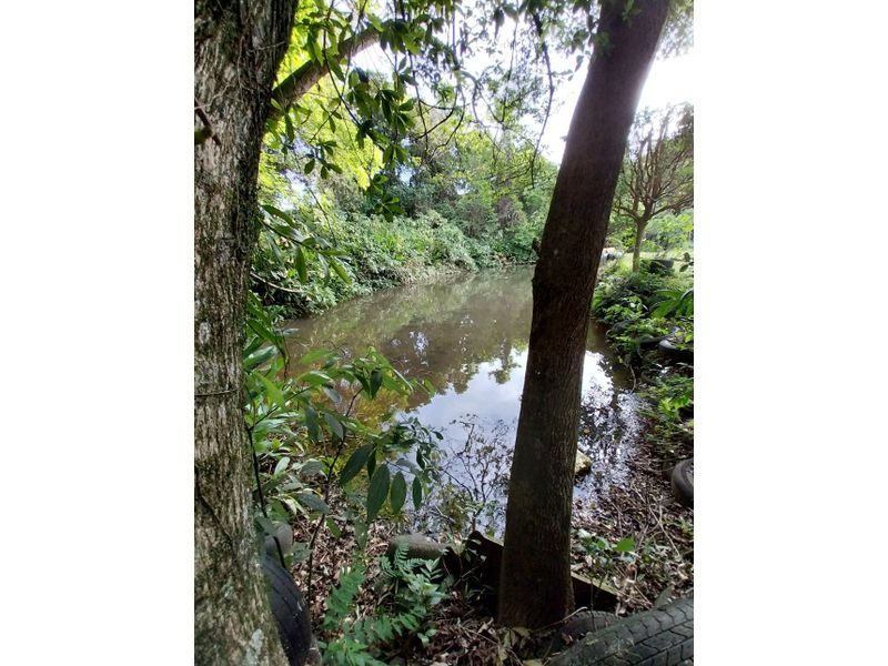 SITIO - LINHA SIMONETO 10