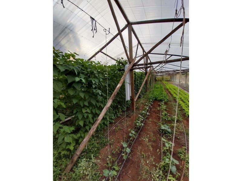 SITIO - LINHA SIMONETO 15