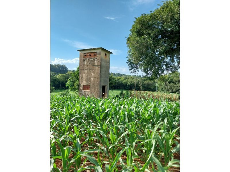 ÁREA DE TERRA - FAZENDA ZANDAVALI 6