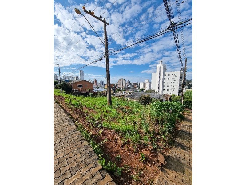 TERRENO - SANTA MARIA 10