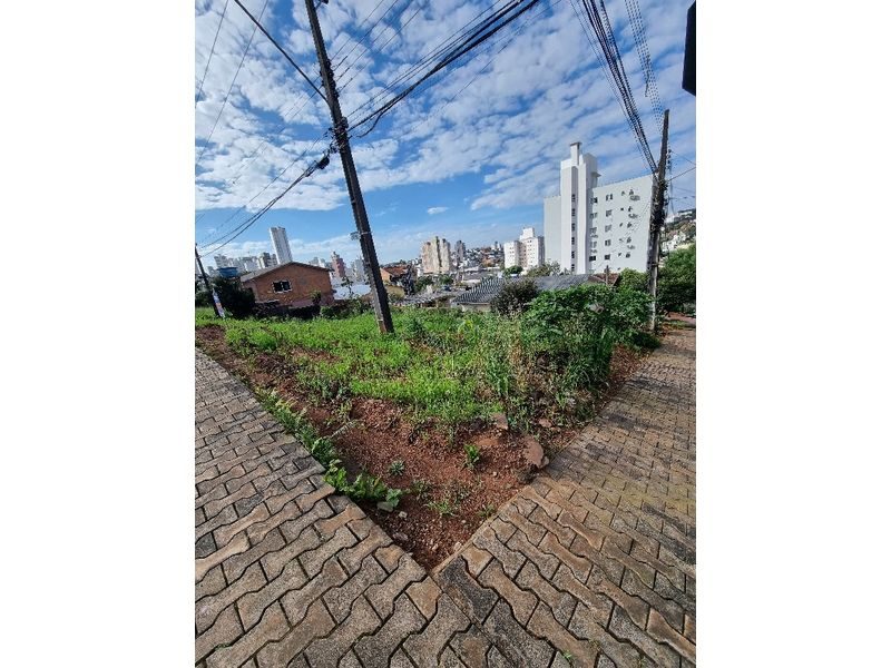 TERRENO - SANTA MARIA 11