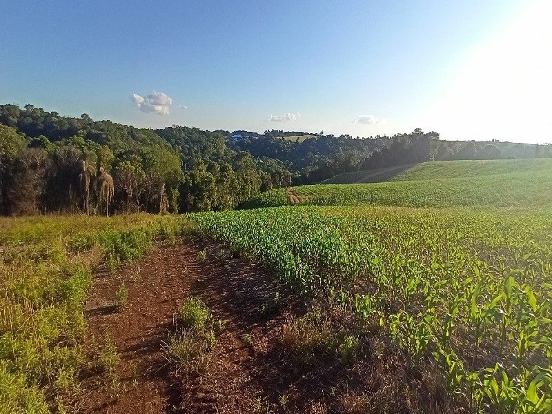 ÁREA DE TERRA - PALMITAL 4