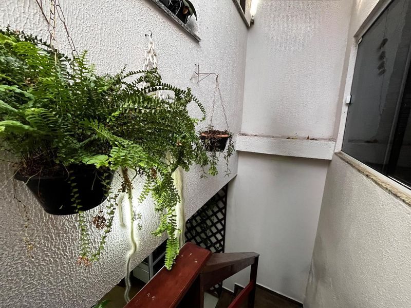 CASA - PARAÍSO 14