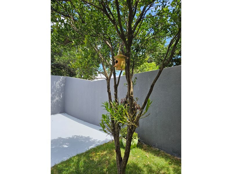 CASA - ENGENHO BRAUN 29