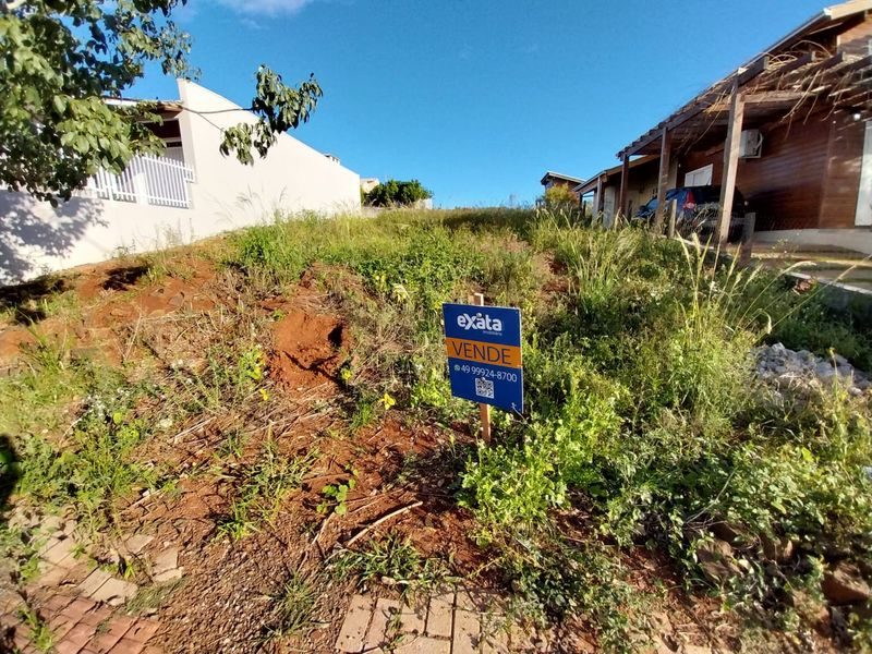 TERRENO - BELVEDERE 6