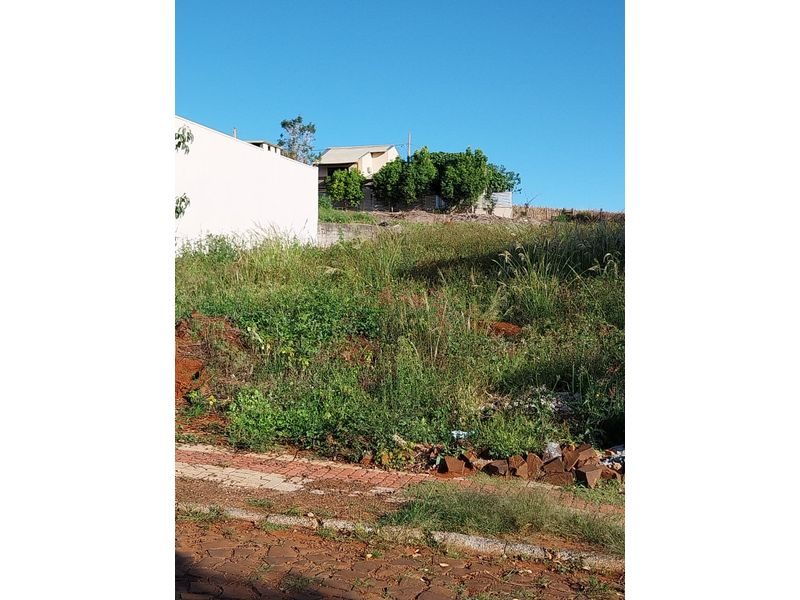 TERRENO - BELVEDERE 7